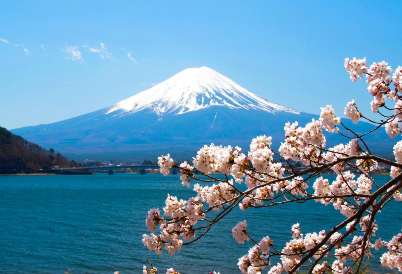 Erable Mt.Fuji "Zen" Villa Fujikawaguchiko Luaran gambar